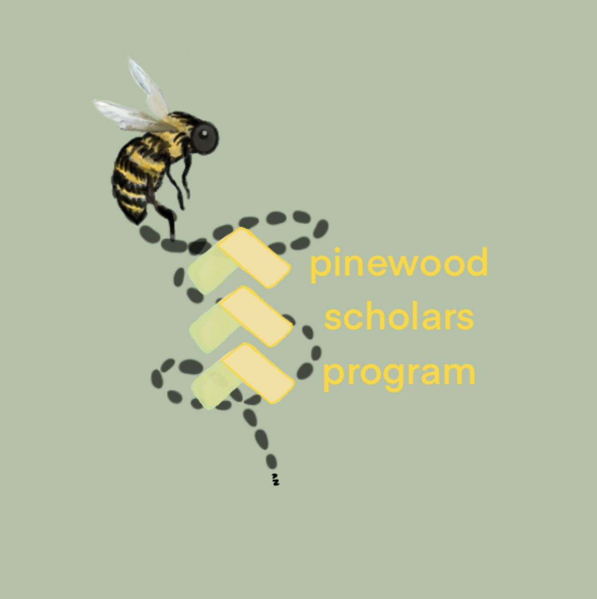 Pinewood Scholars Program Projects