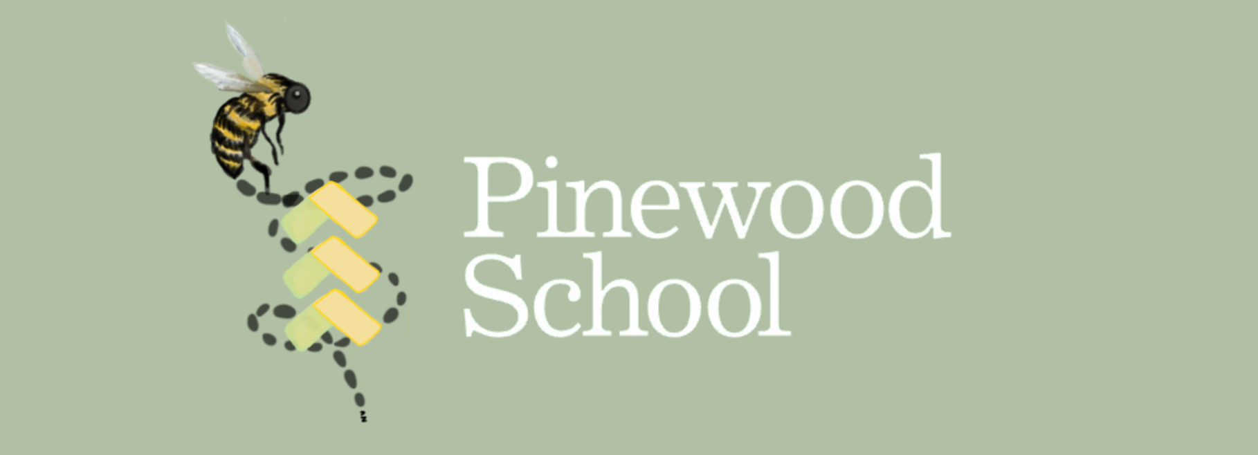 Pinewood Scholars Program